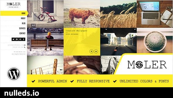 Moler - Full Screen WordPress Portfolio