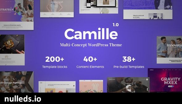 Camille - Multi-Concept WordPress Theme