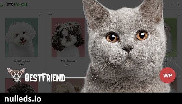 Bestfriend - Pet Shop WordPress WooCommerce Theme