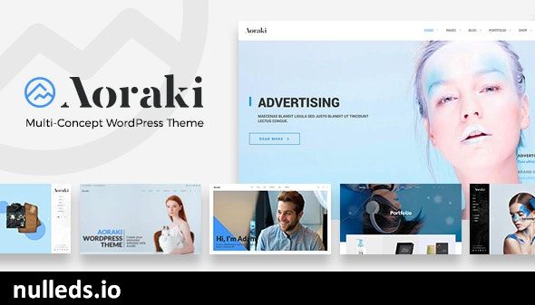 Aoraki - Multi-Concept Business WordPress Theme