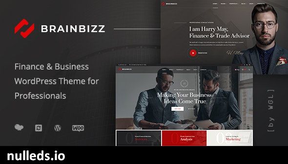 BrainBizz - Finance & Business WordPress Theme