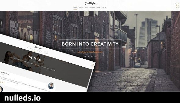 Calliope - Portfolio & Agency WordPress Theme