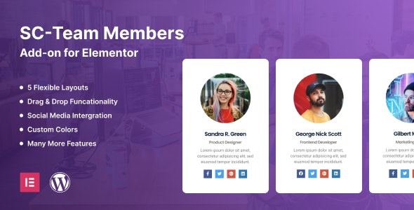 SC Team Members Elementor Add-on