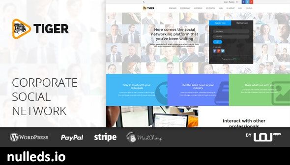 TIGER – Social Network Theme for Companies & Professionals