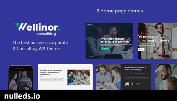 Wellinor - Business Consulting WordPress Theme