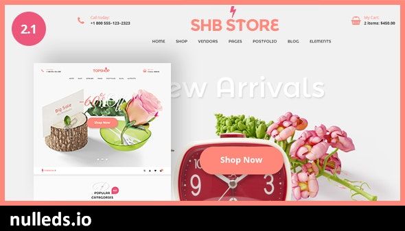 Spa Health & Beauty - RTL Responsive Shop WooCommerce WordPress Theme