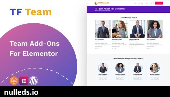 Team Member addon - widget for Elementor