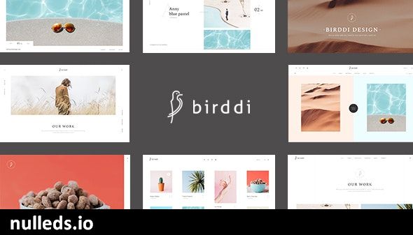 Birddi - A Creative Portfolio WordPress Theme