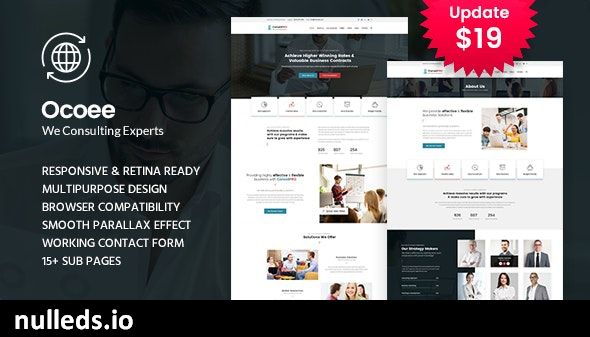 Ocoee - Consulting & Business WordPress Theme