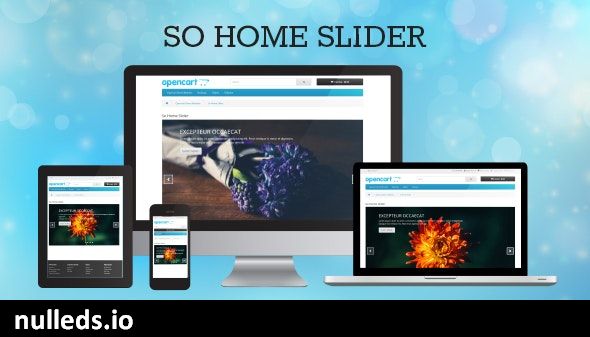 So Home Slider - Responsive OpenCart 3.0.x & OpenCart 2.x Module