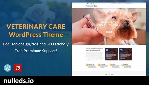 VetBox - Veterinary & Pet Care WordPress Theme