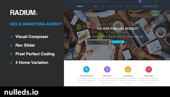 Radium - SEO /Digital Agency WordPress Theme