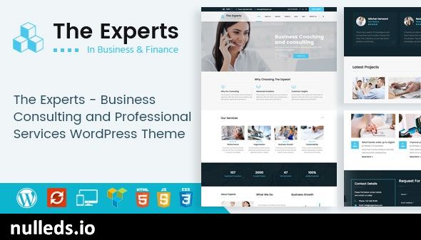 The Experts - Business Consulting and Professional Services WordPress Theme