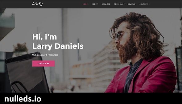 Larry. - Personal Onepage WordPress Theme