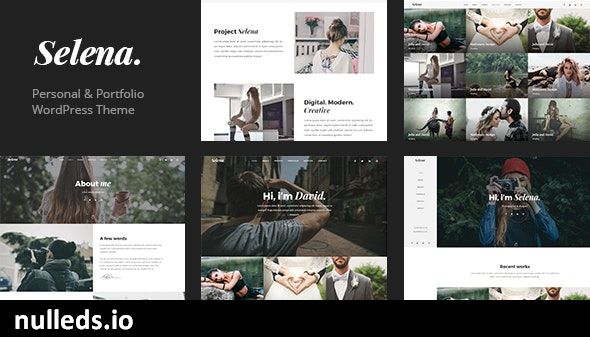 Selena. - Multipirpose WordPress Theme