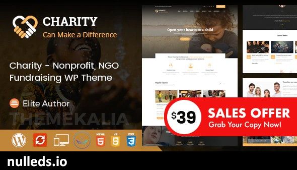 Charity - Nonprofit and Fundraising WordPress Theme