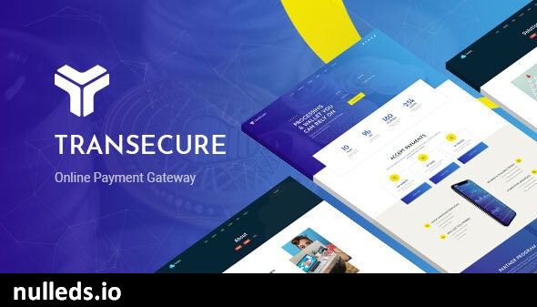 Transecure - Online Payment Gateway WordPress Theme