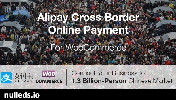 Alipay Cross Border Online Payment