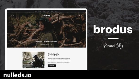 Brodus - Personal Blog WordPress Theme