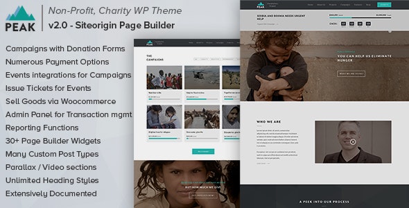 Peak - Charity Nonprofit WordPress Theme