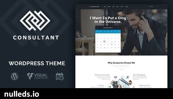 Consultant | WordPress Theme