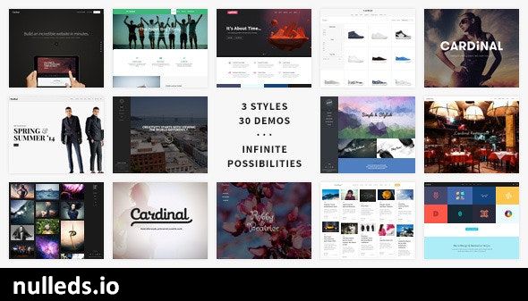 Cardinal - WordPress Theme