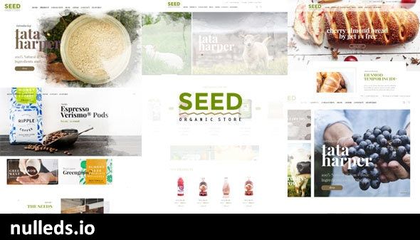 Seed - Organic WordPress Theme