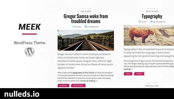 Meek WordPress Theme