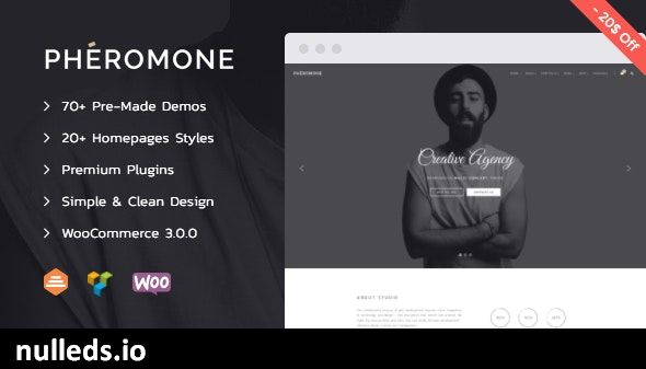 Pheromone - Creative Multi-Concept WordPress Theme