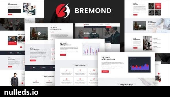 Bremond - Multipurpose Business Consulting WordPress Theme