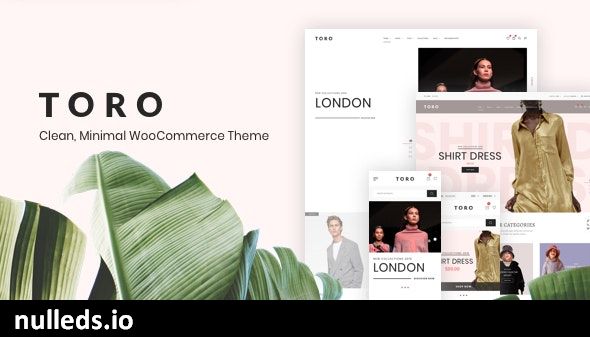 Toro - Clean, Minimal WooCommerce Theme