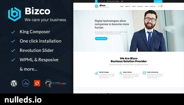 Bizco : Business Consulting and Professional Services WordPress Theme