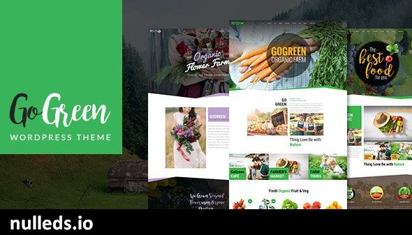 GoGreen: Organic Food, Farm, Market Business WordPress Theme