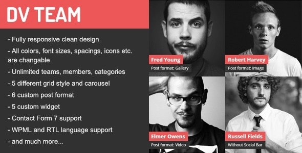 Download Latest DV Team (v2.2) Responsive Team Showcase WordPress Plugin