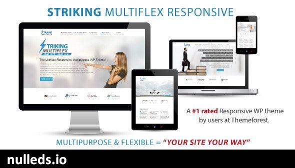 Striking - MultiFlex & Ecommerce Responsive WP Theme