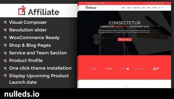 Affiliate Marketing WordPress Theme