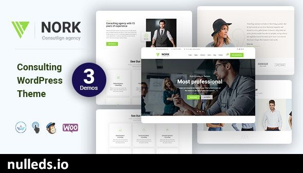 Nork - Business, Consulting WordPress Theme