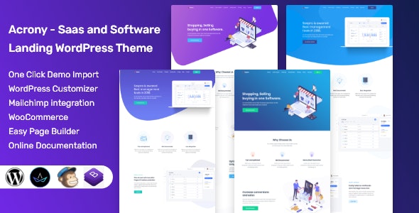 Acrony Software and Saas Theme