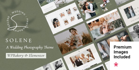 v3.0 Solene - Wedding Photography Theme