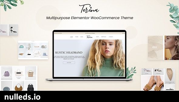 Terina - Multipurpose Elementor WooCommerce Theme