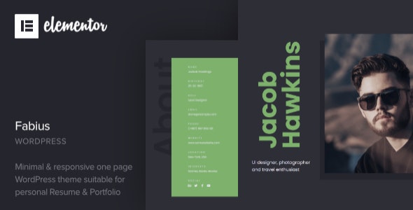 Fabius - Resume WordPress Theme
