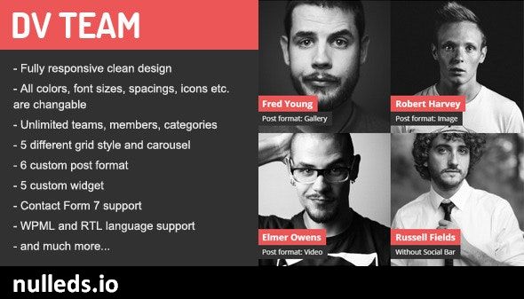 DV Team Responsive Team Showcase WordPress Plugin