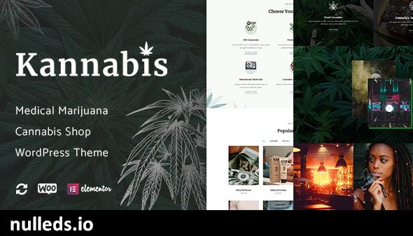 Kannabis - Medical Marijuana & Cannabis WordPress Theme