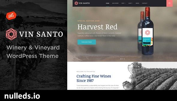 Vin Santo - Winery & Vineyard Theme