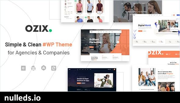 Ozix - Agencies and Companies WordPress Theme