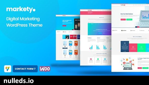 Markety - SEO & Digital Marketing WordPress Theme