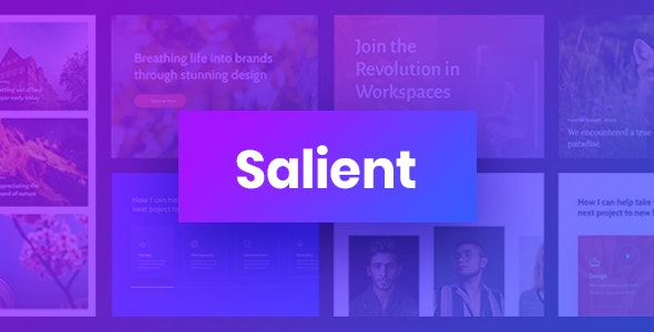 Salient | Creative Multipurpose & WooCommerce Theme