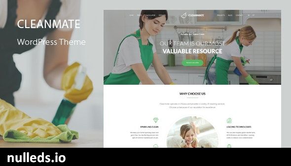 CleanMate - Cleaning Company Maid Gardening WordPress Theme