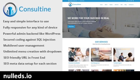 Consultine - Consulting, Business and Finance Website CMS