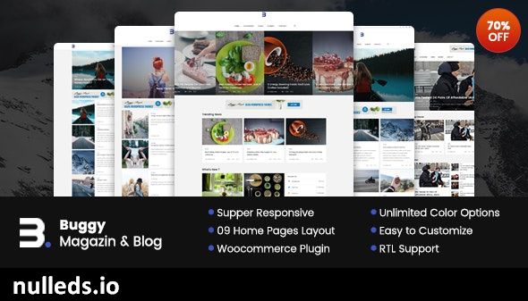 Buggy - Magazine & Blog WordPress Themes